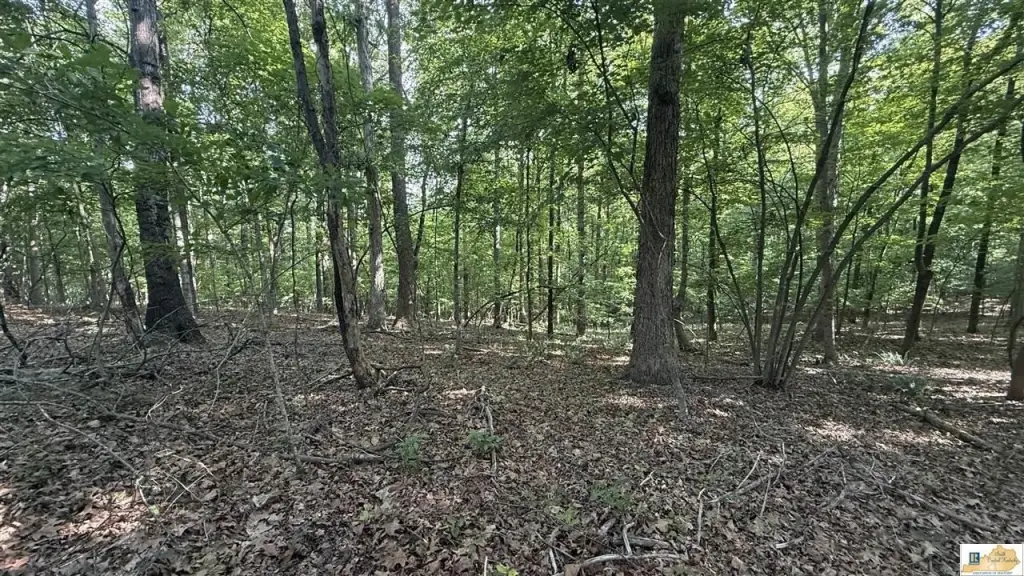 Picture 28