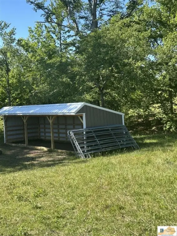 Picture 5