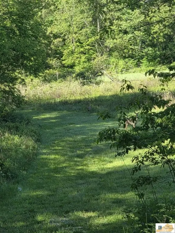 Picture 43