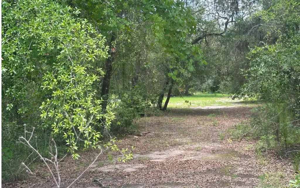 Picture 13