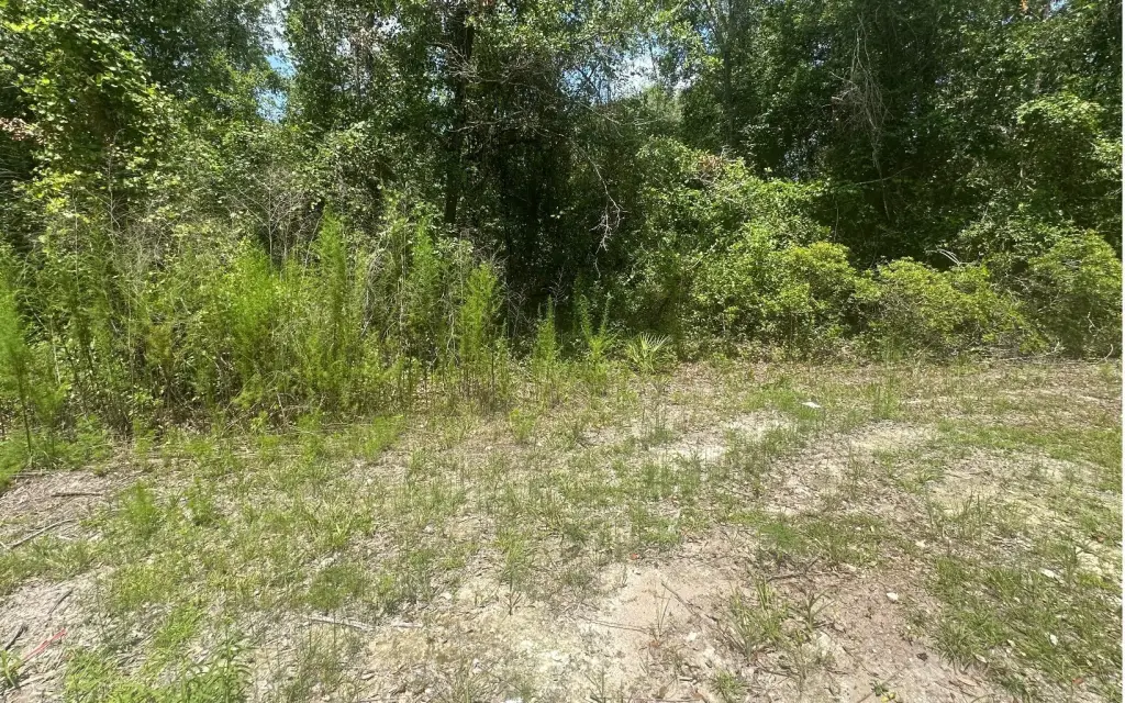 Picture 11