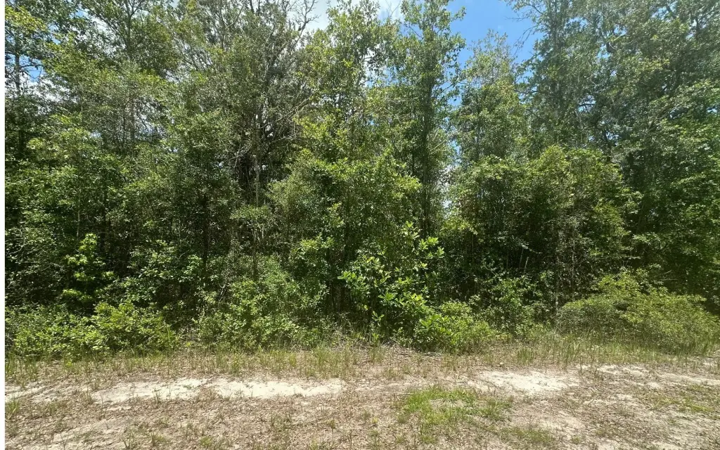 Picture 8
