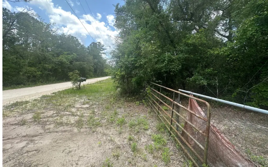 Picture 15