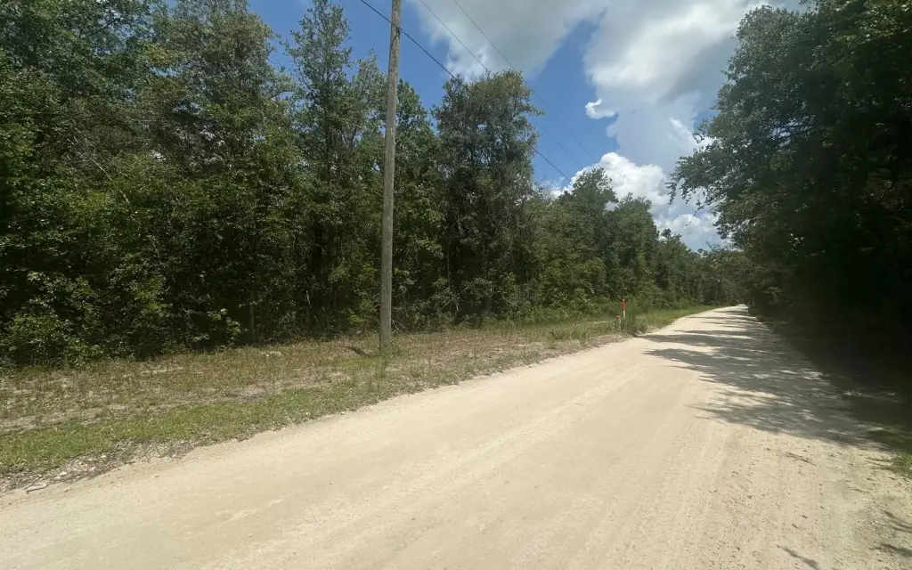 Picture 9
