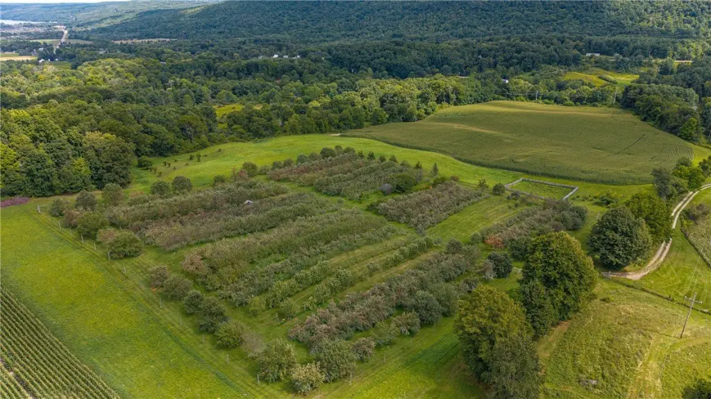 Picture 48