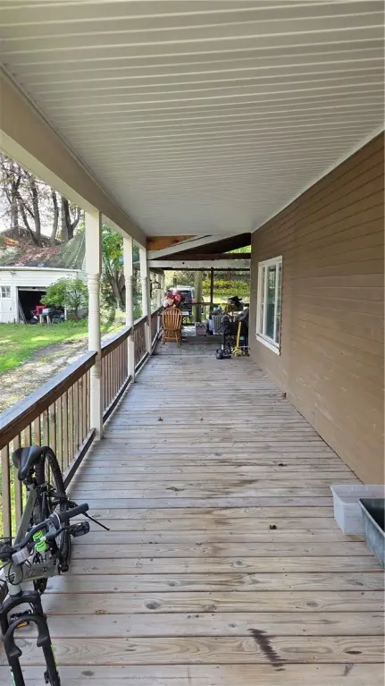 Picture 5