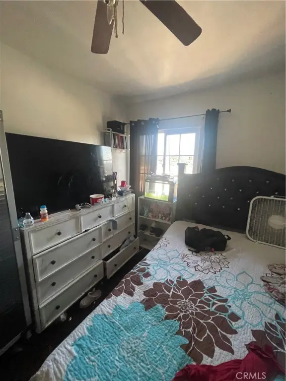 Picture 24