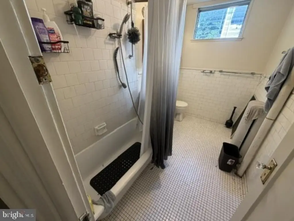 Picture 16