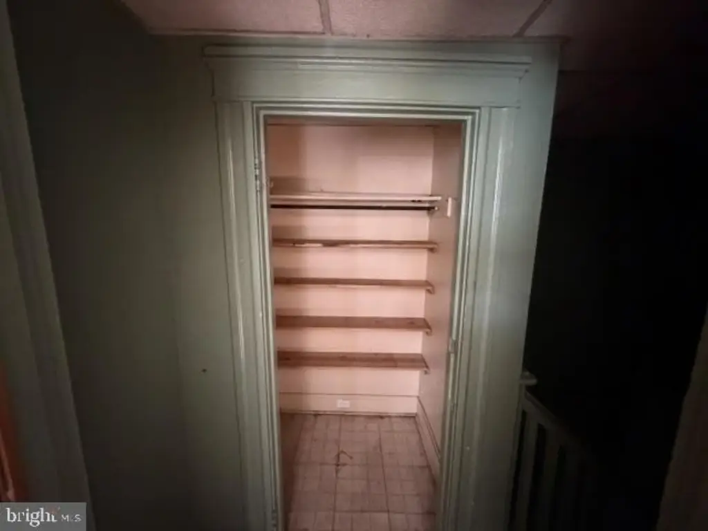Picture 41