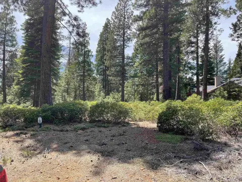 Lake Almanor Residential Lot