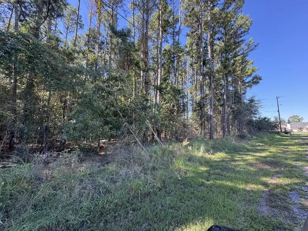 Picture 25