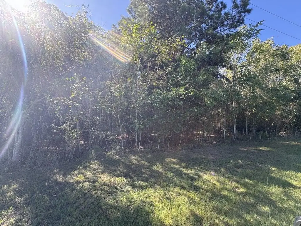 Picture 43