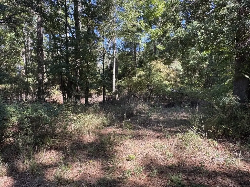 Picture 28