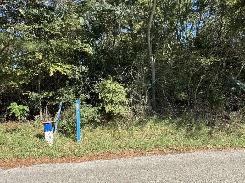 Picture 26