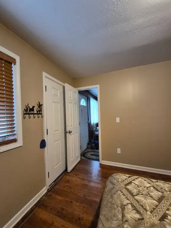 Picture 12
