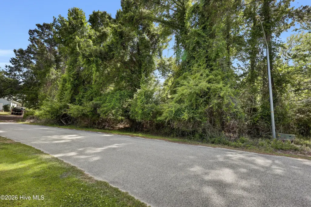 Picture 6