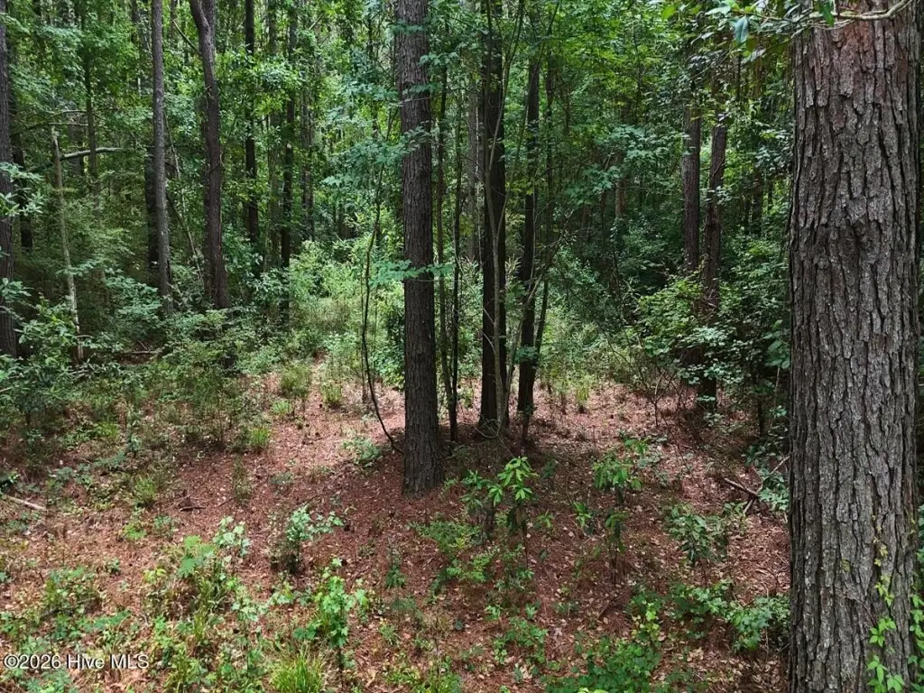 Picture 23