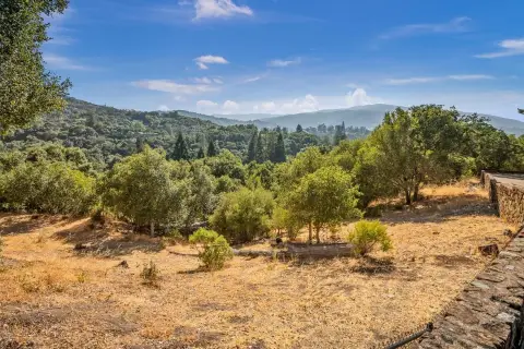 Los Gatos Estate Building Opportunity