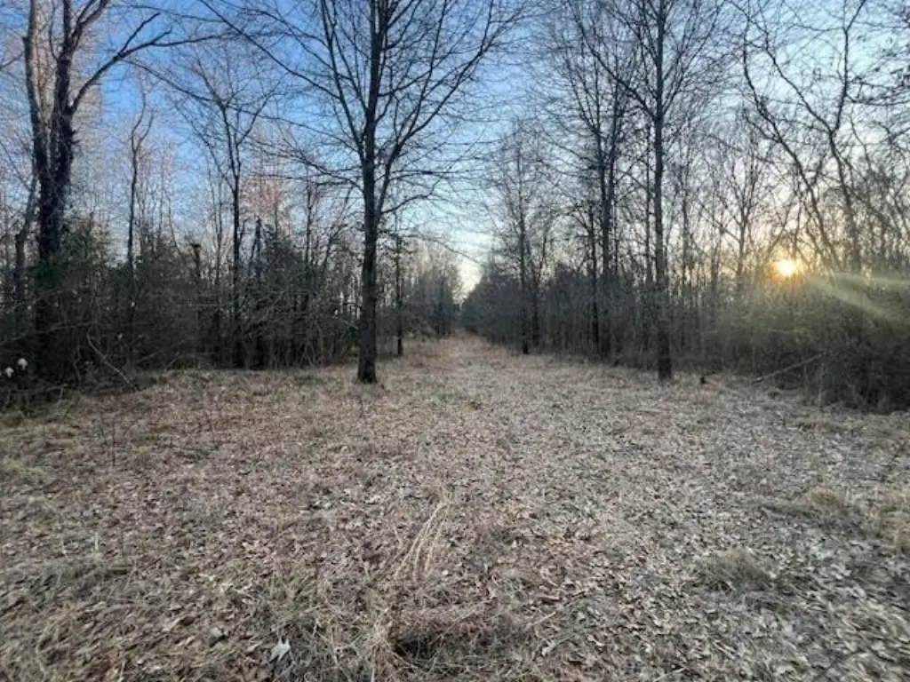 Picture 11