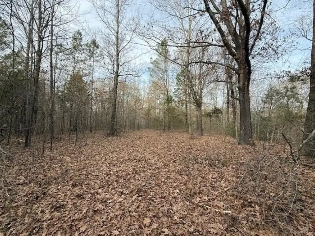Picture 13