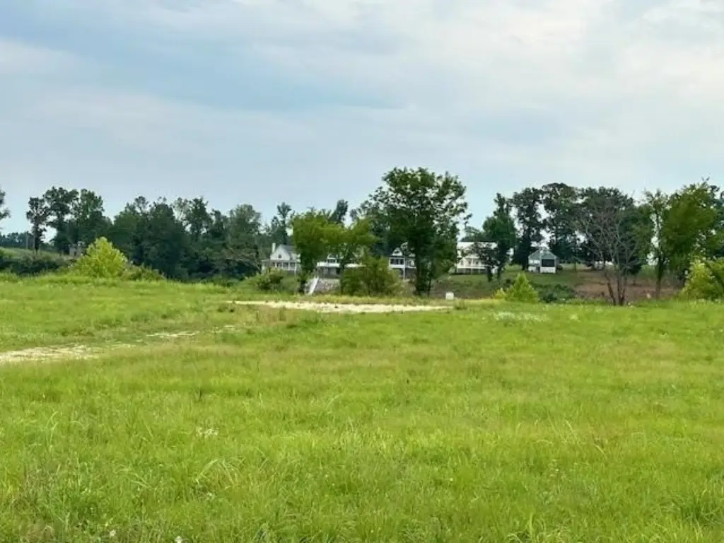 Picture 11