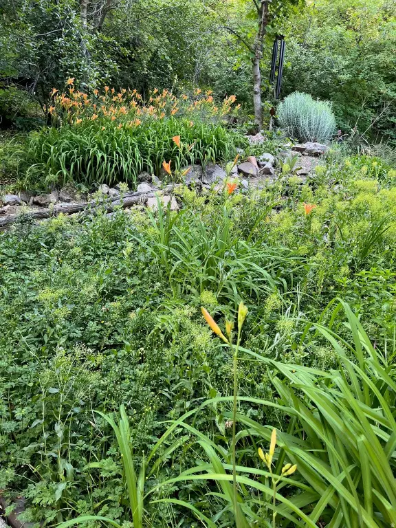 Picture 2