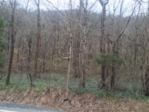 Residential Land in Jonancy, KY