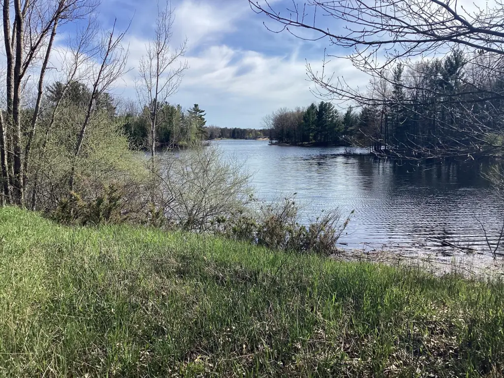 Picture 9