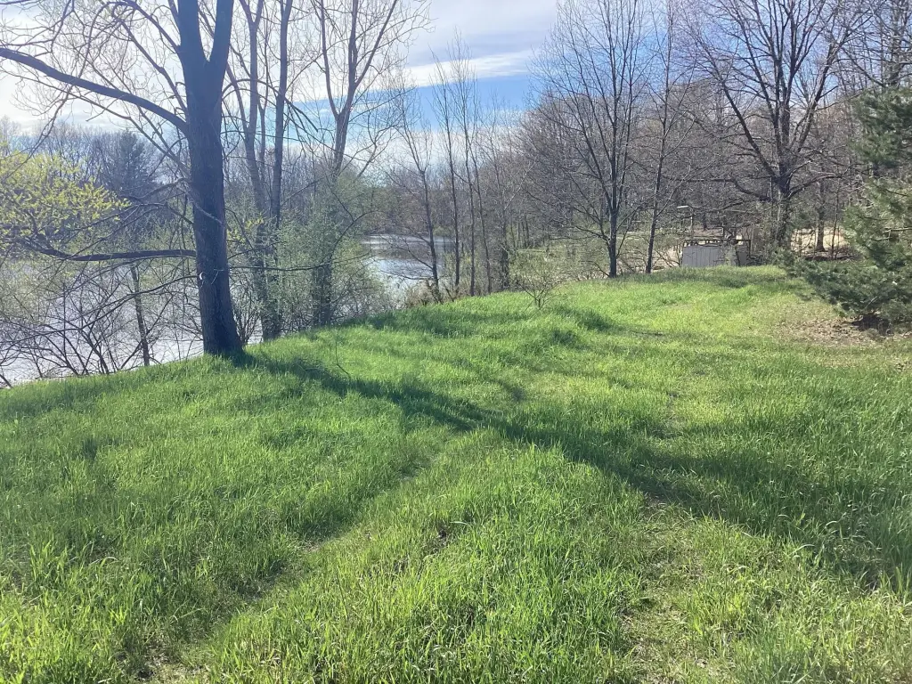 Picture 19