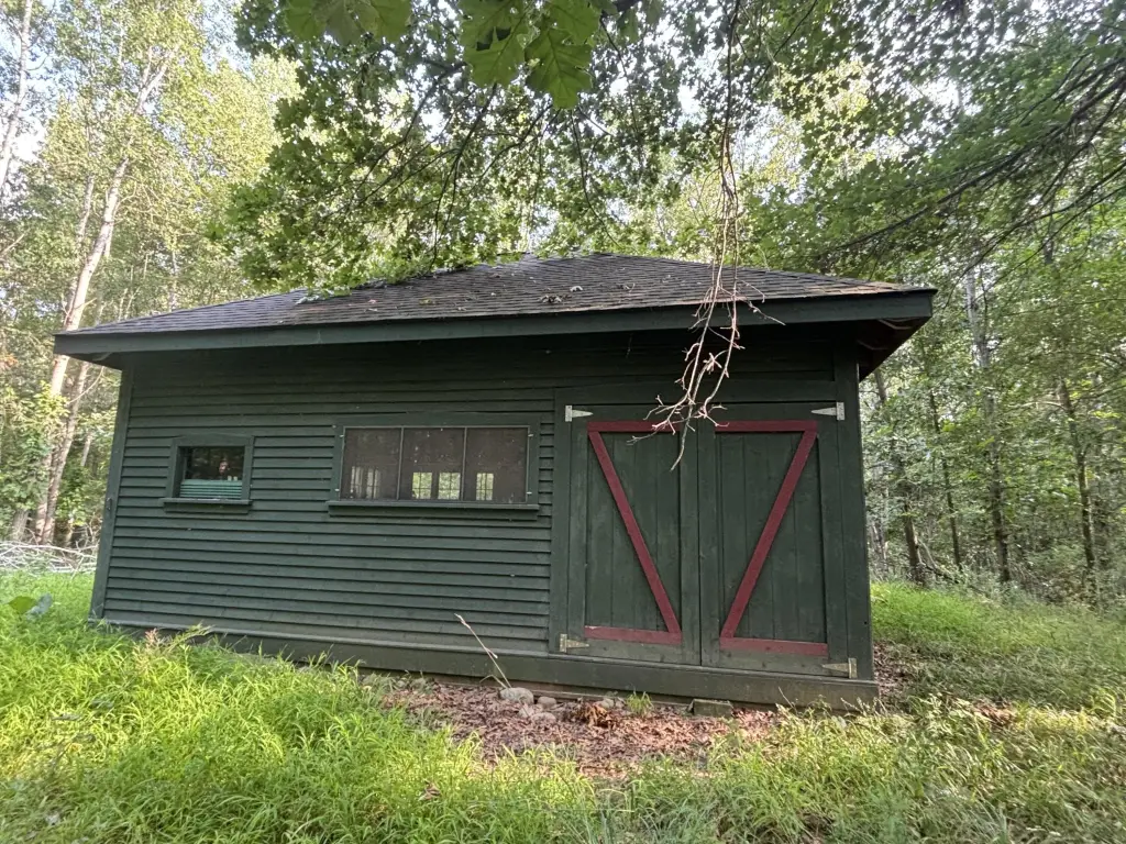 Picture 8