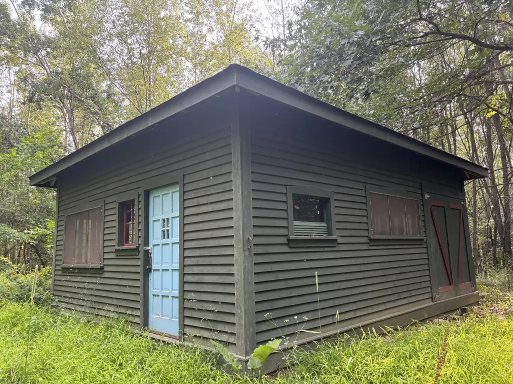 Picture 6