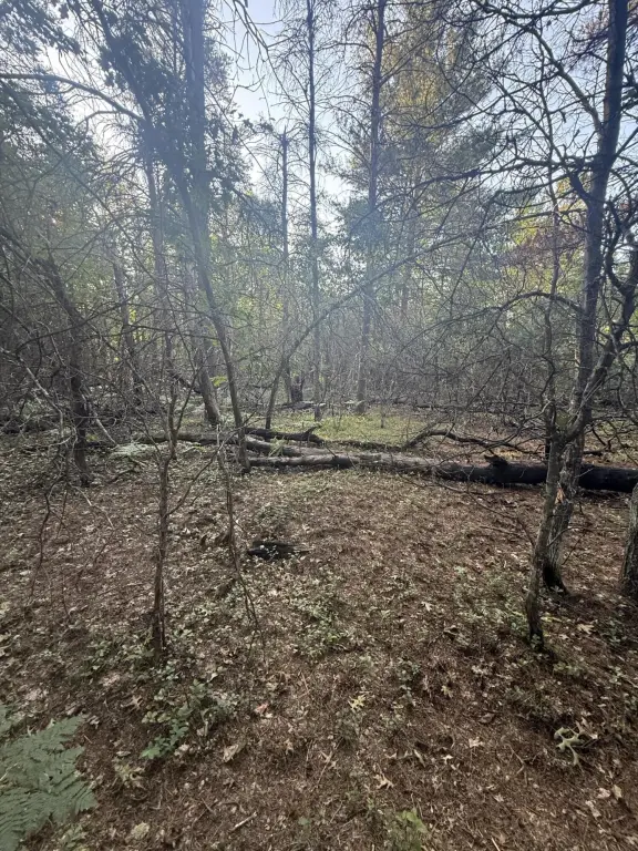 Picture 23