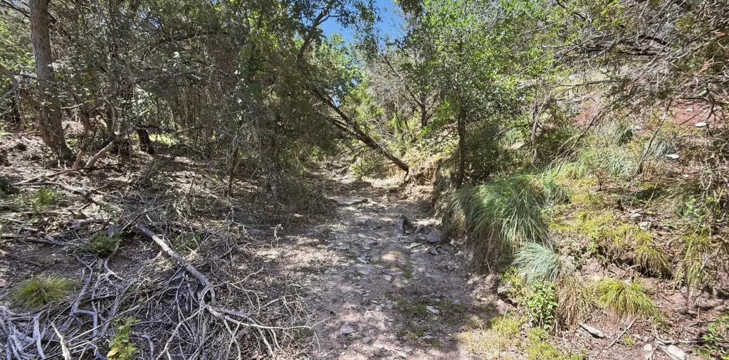 Picture 11