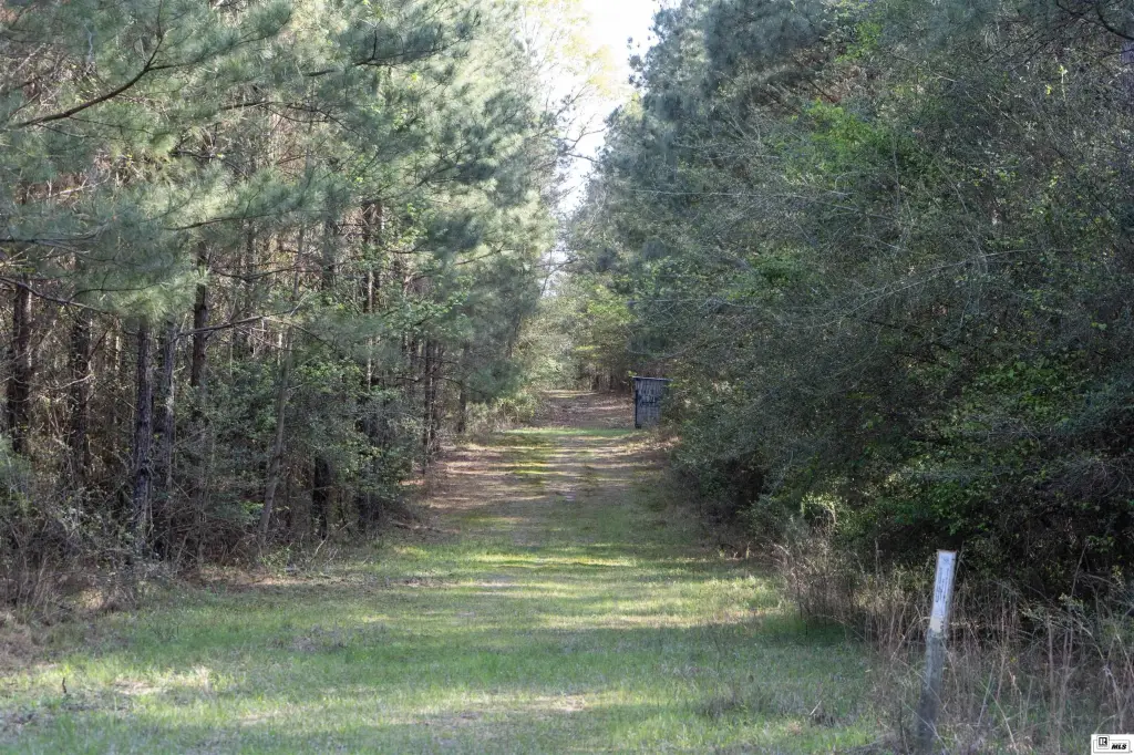 Picture 4