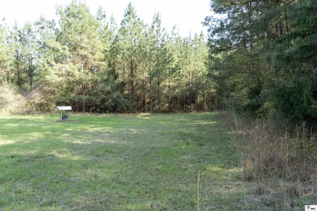 Picture 3