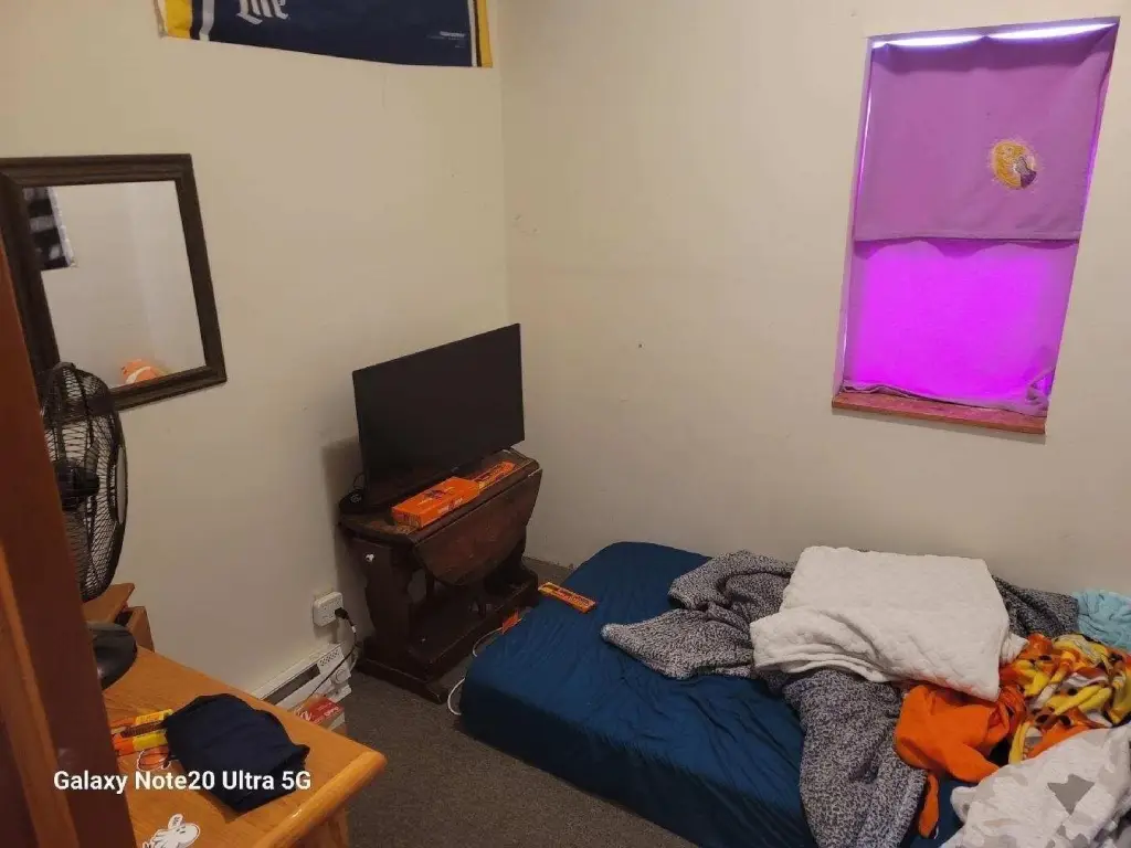 Picture 38