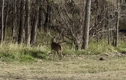 40 Acres of Rural Land