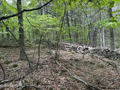 Land Near Lake Wallenpaupack