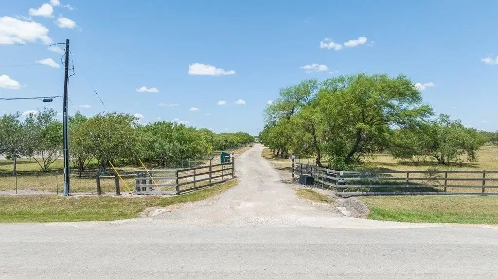 Picture 2