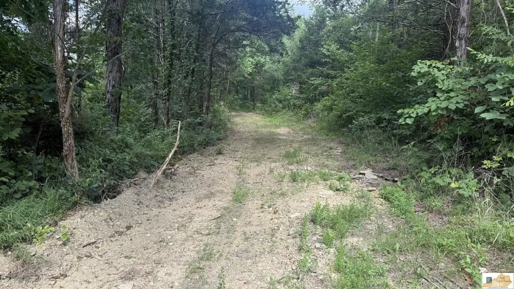 Picture 3