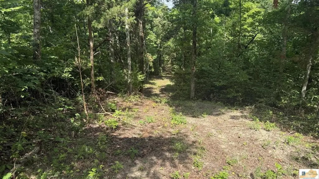 Picture 6