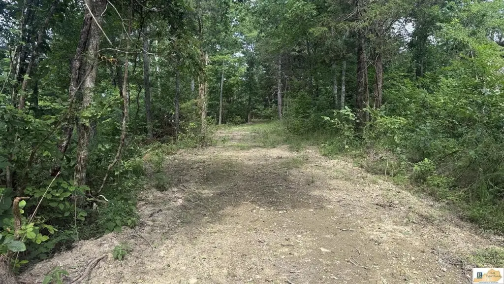 Picture 4