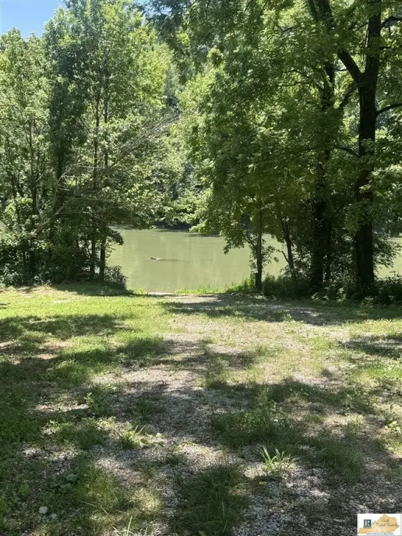 Picture 5