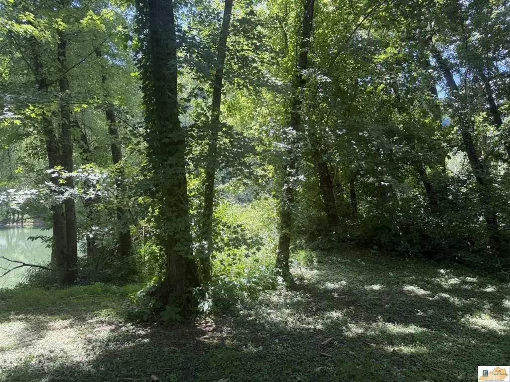 Picture 7