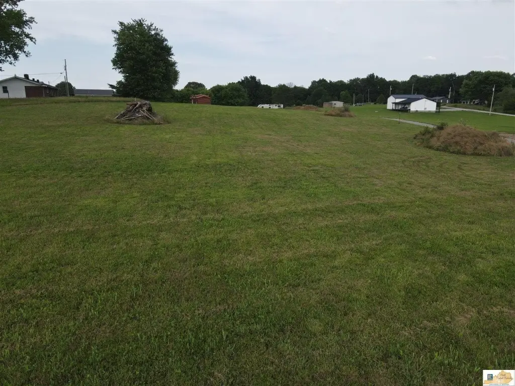 Picture 5
