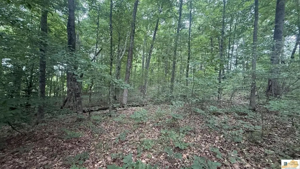 Picture 12