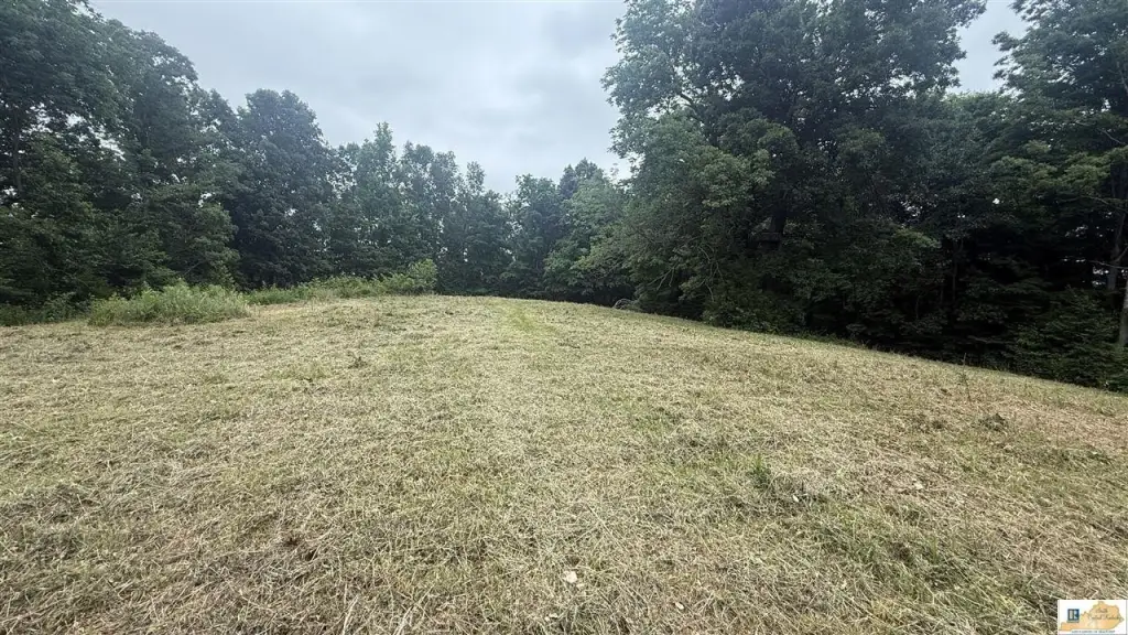 Picture 15