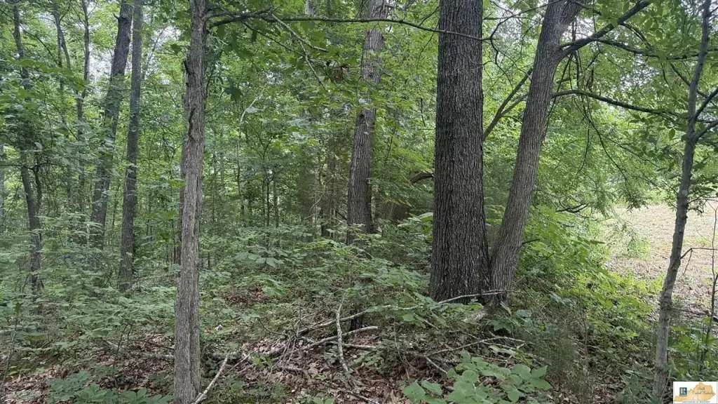 Picture 20