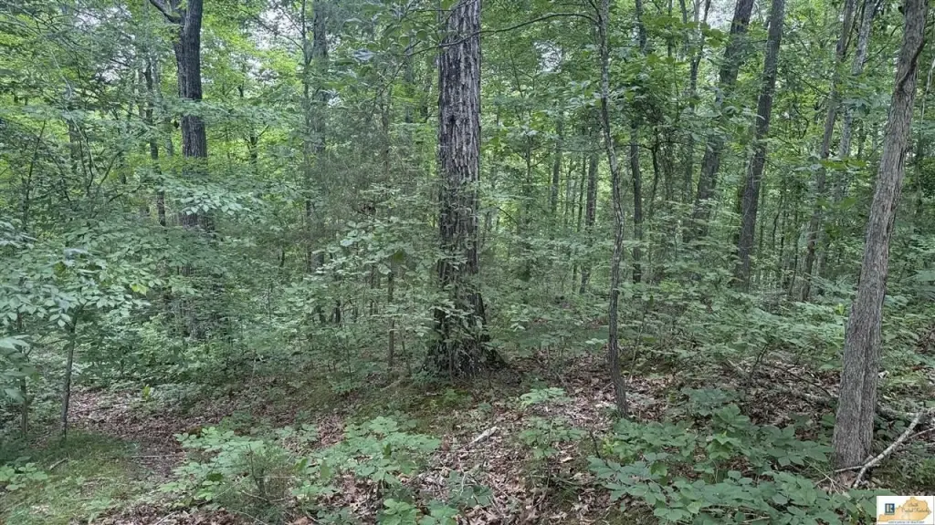 Picture 19