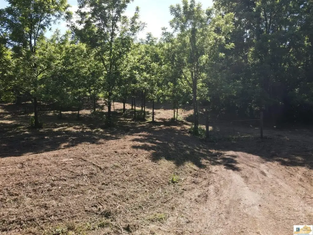 Picture 39